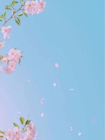 花開的半夏