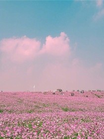 NPC.：不酷不要钱