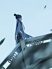 凤女的涅槃重生