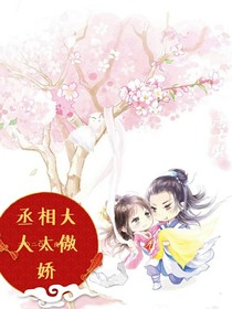 丞相大人太傲嬌