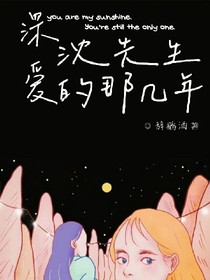 深爱沈先生的那些年