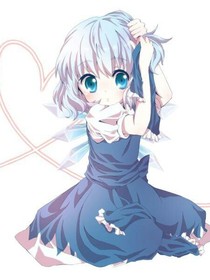 查理九世之王族繼承人