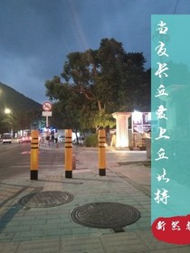 当皮卡丘爱上丘比特