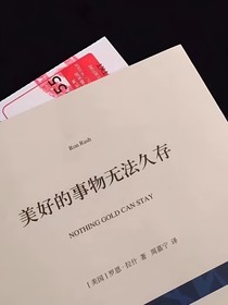 闪耀的银星