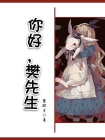 你好，樊先生。