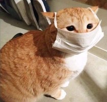 渣女冷月