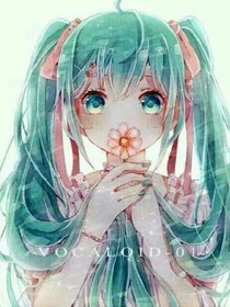 至爱亲情