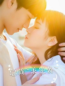 总裁~求逆袭~