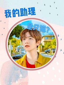 边伯贤：我的助理是只猫