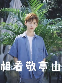 相看敬亭山