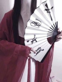 总裁大大别追了