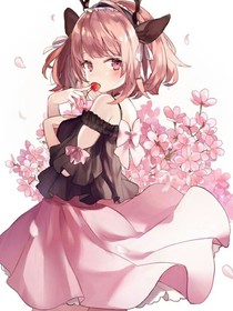 一起养猫吧