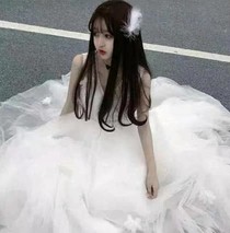 传奇六姐妹，总裁校草爱不停