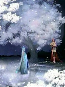 爵冰倾城（叶罗丽）