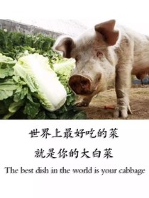 寵妻無度甜蜜蜜