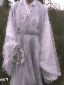 皇上，將軍又跑了