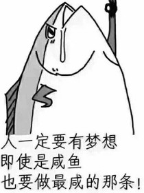 假道友来啦