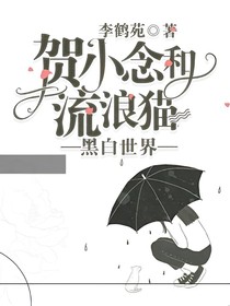 贺小念和流浪猫—黑白世界
