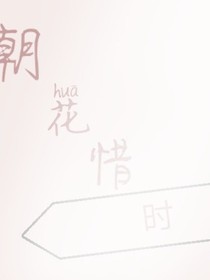 朝华惜时