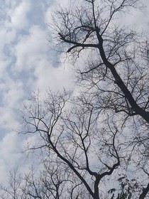 的结局