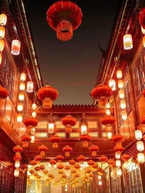 半寸花开
