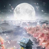 布局羿