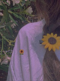 世凡人凡花不凡
