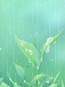 治愈你的茶