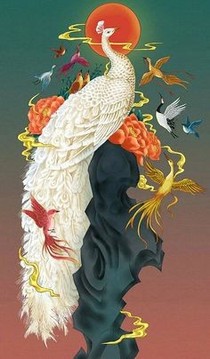 长清之生
