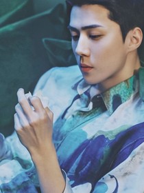 散落星河的你
