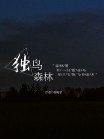 独鸟森林