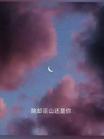 除却巫山还是你