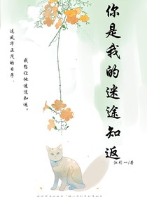 你是我的迷途知返