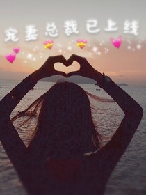 宠妻总裁已上线