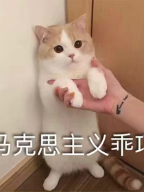 幽冥手机