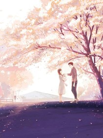 总裁请你别乱来