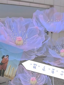 铭记洛心——d674