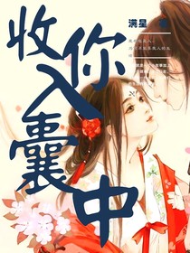 收你入囊中