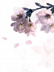 琴墨染香坊
