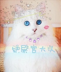 亲爱的铲屎官大人