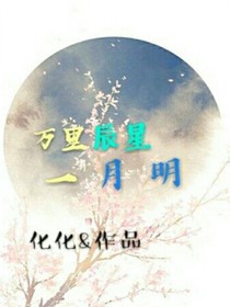 万里辰星一月明
