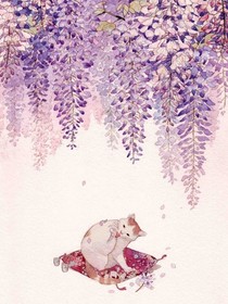 紫藤之約
