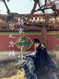 锦衣之下续写之岑福