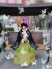 花要怎样才会开