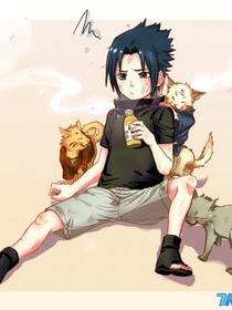 猪来