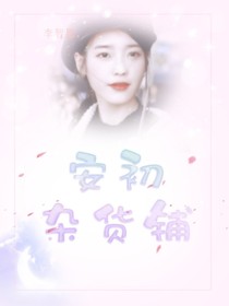 安初杂货铺.