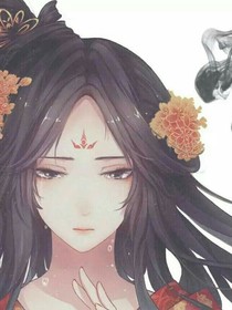 雪豹之乱世情深