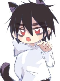 黑猫阿柒