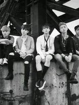BTS：梦之花粉