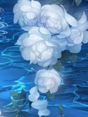 穿越之莲竹草